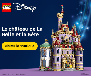 LEGO EU – FR :43263 – Disney Exclusive