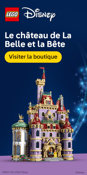 LEGO EU – FR :43263 – Disney Exclusive