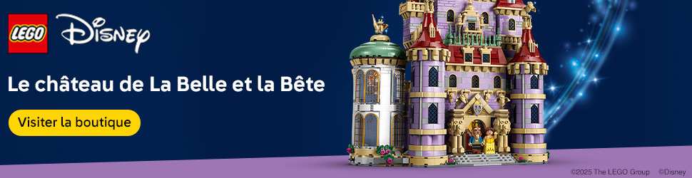 LEGO EU – FR :43263 – Disney Exclusive