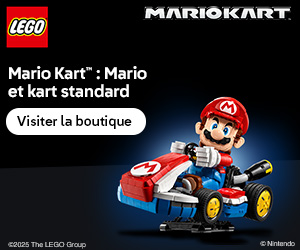 LEGO EU – FR: Exclusive – 72037 – Sparrow