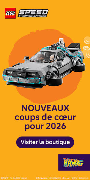 LEGO EU – FR: Time Machine from Back to the Future (77256)