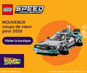 LEGO EU – FR: Time Machine from Back to the Future (77256)
