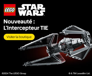 LEGO EU – FR : TIE Interceptor