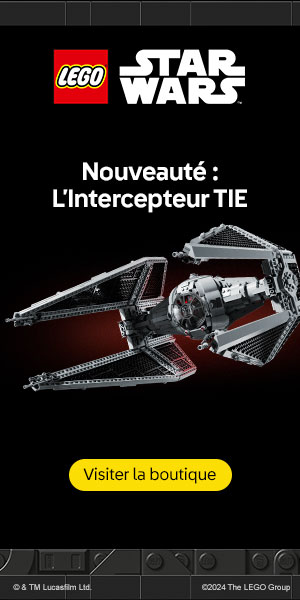 LEGO EU – FR : TIE Interceptor